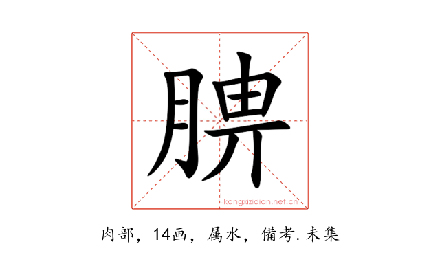 腗