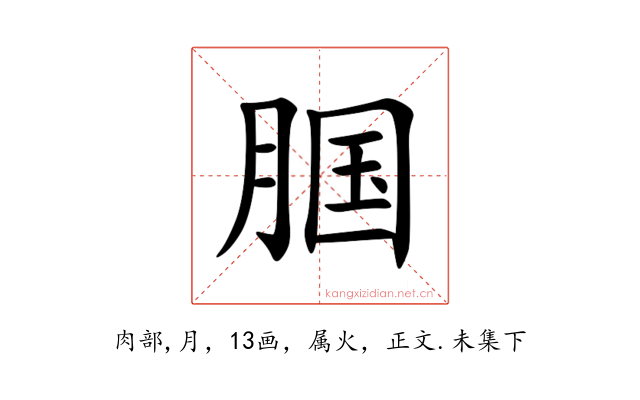 腘