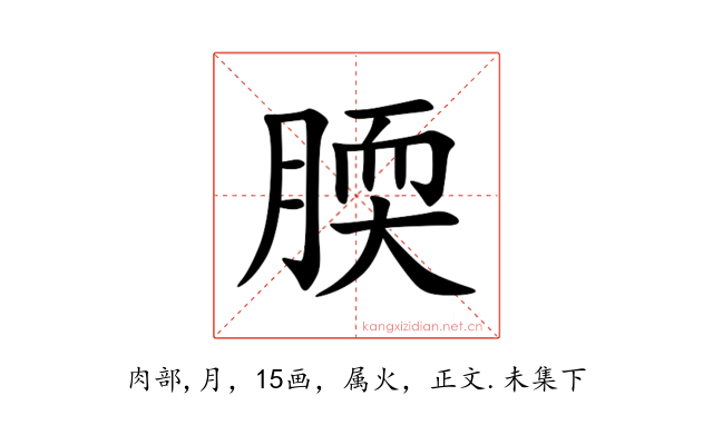 腝