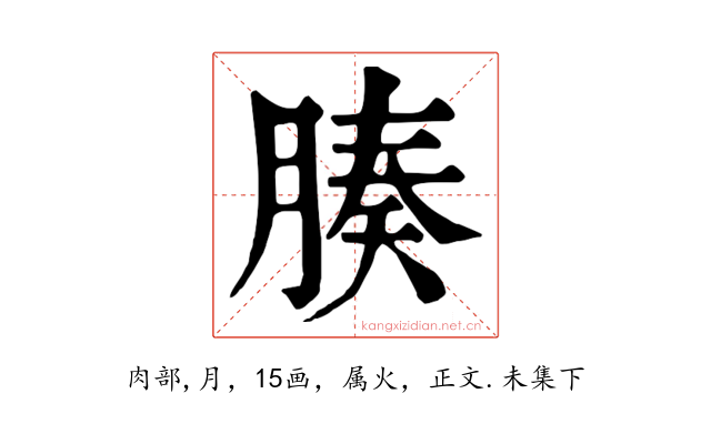 腠