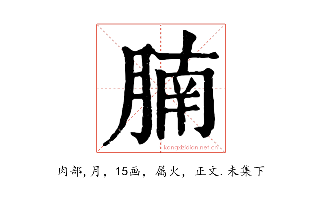 腩