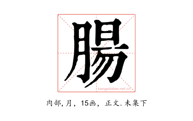 腸