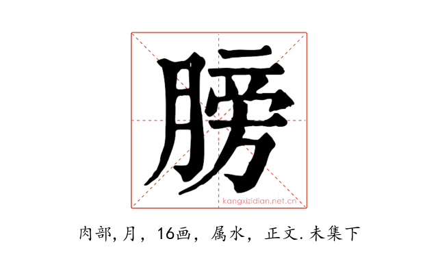 膀
