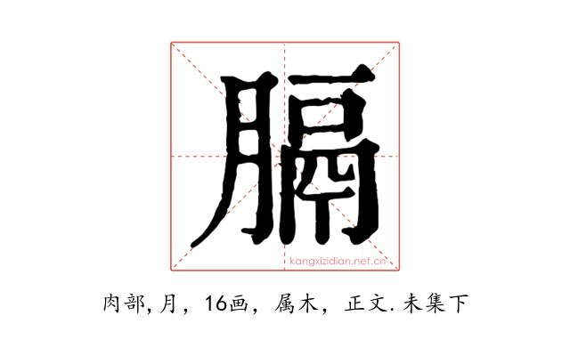 膈