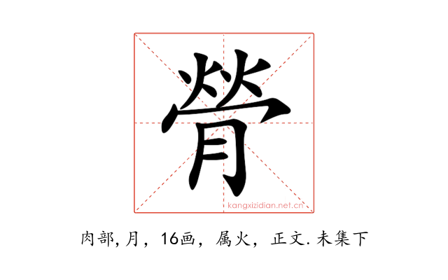 膋