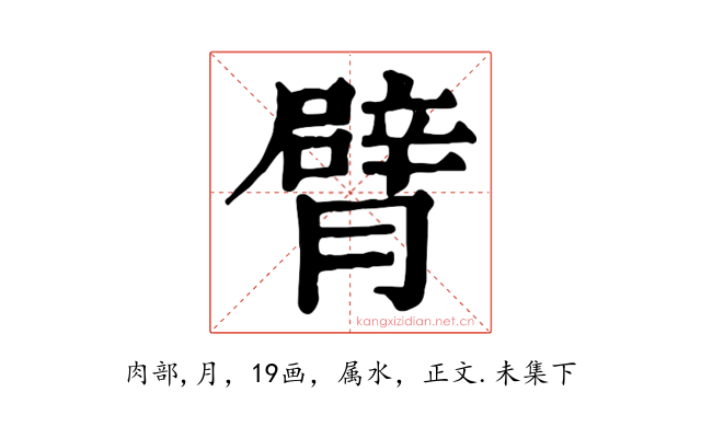 臂