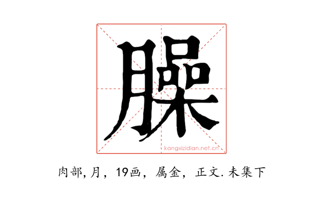 臊