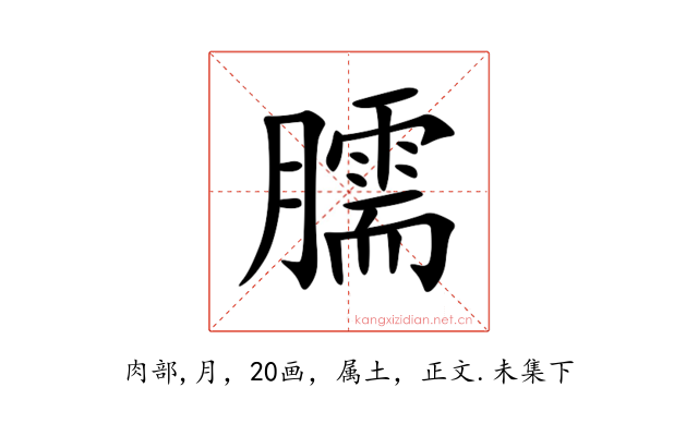 臑