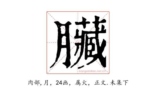 臟