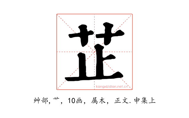 芷