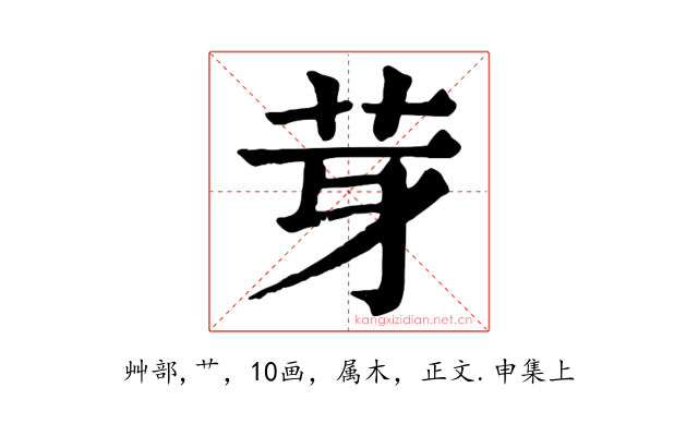 芽