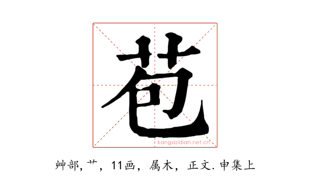 苞