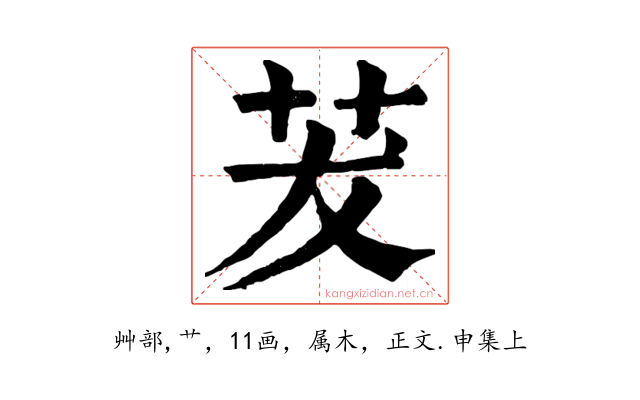 茇