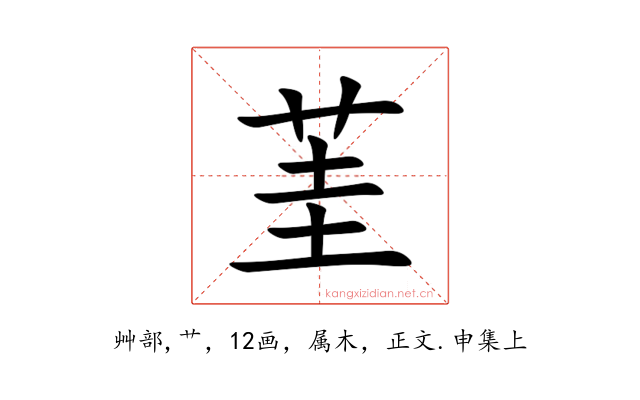 茥