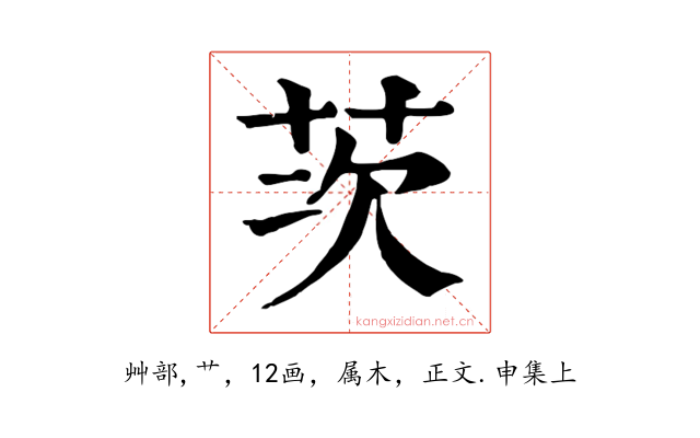 茨