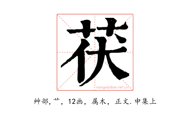 茯
