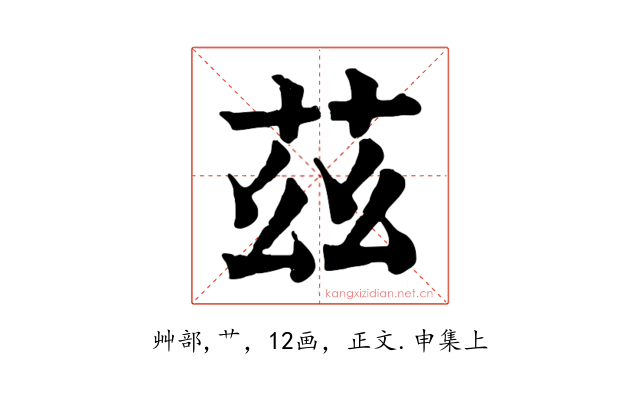 茲