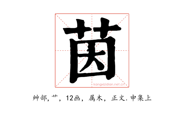 茵