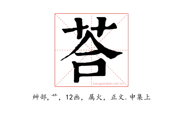 荅