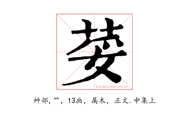 荽