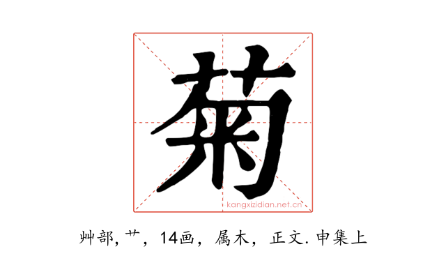 菊