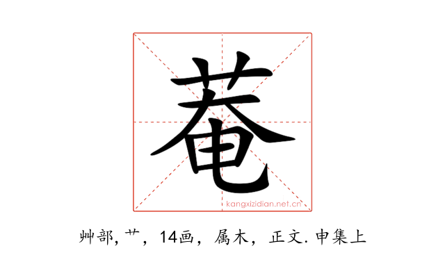 菴