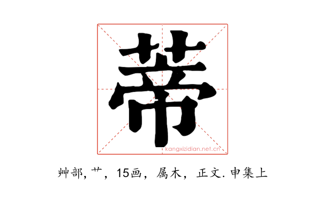蒂
