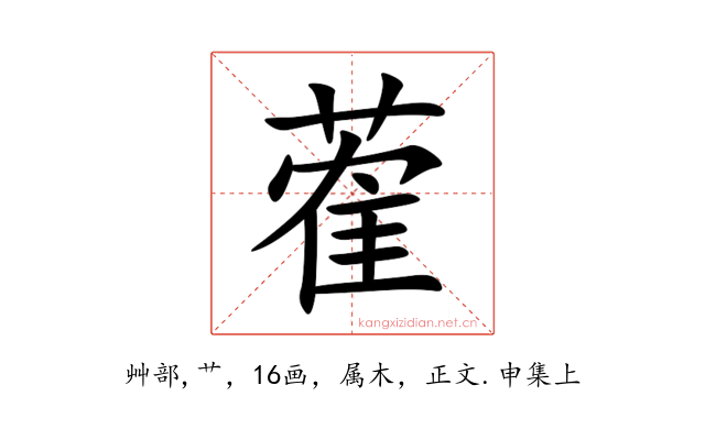 蒮