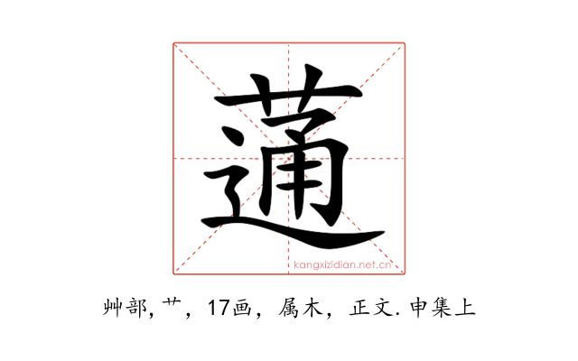 蓪