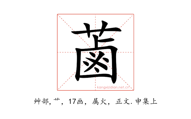 蓾
