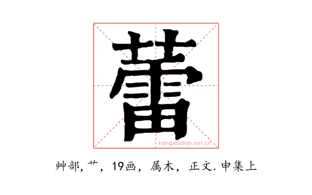 蕾