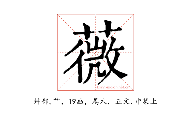 薇