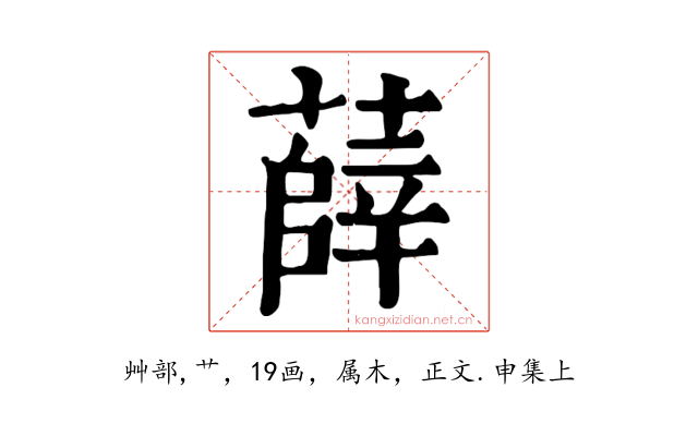 薛