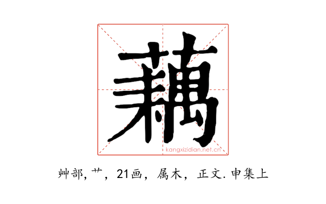 藕