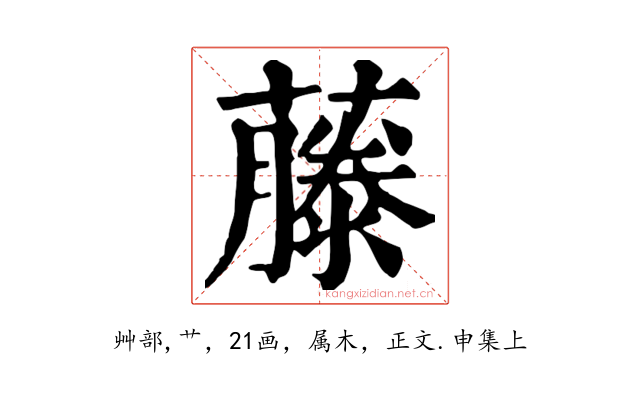 藤