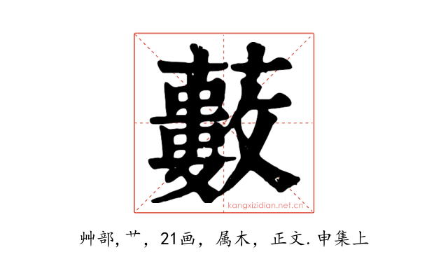 藪