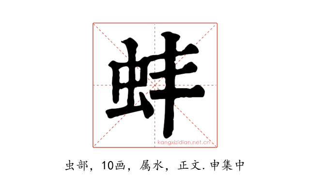 蚌