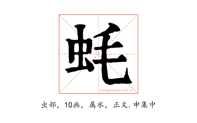 蚝