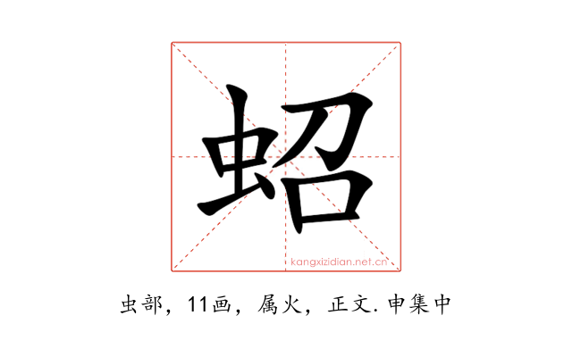 蛁