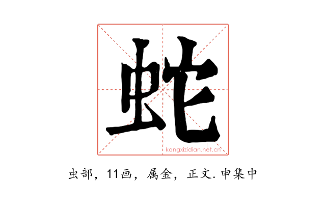 蛇