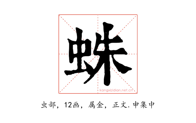 蛛