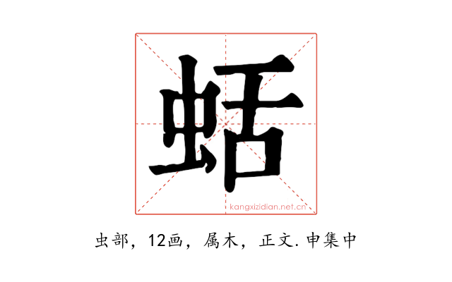 蛞
