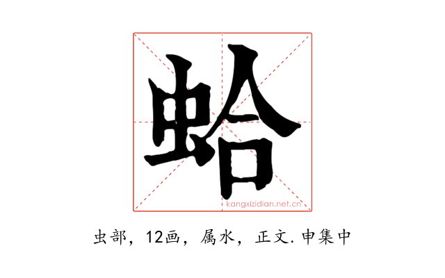 蛤