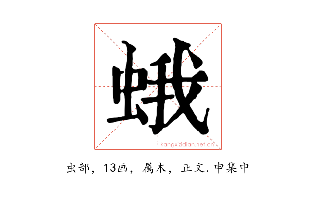 蛾