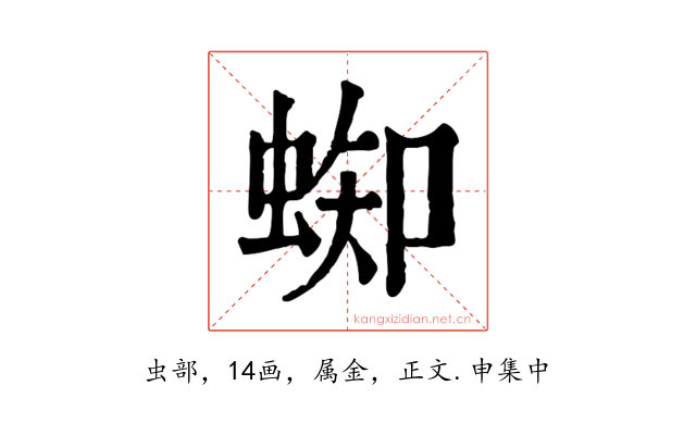 蜘