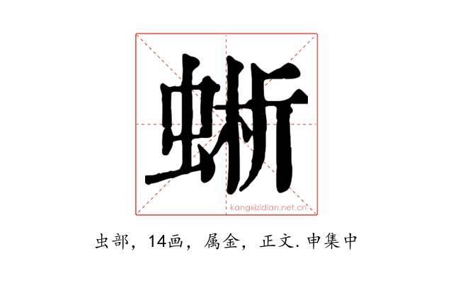 蜥
