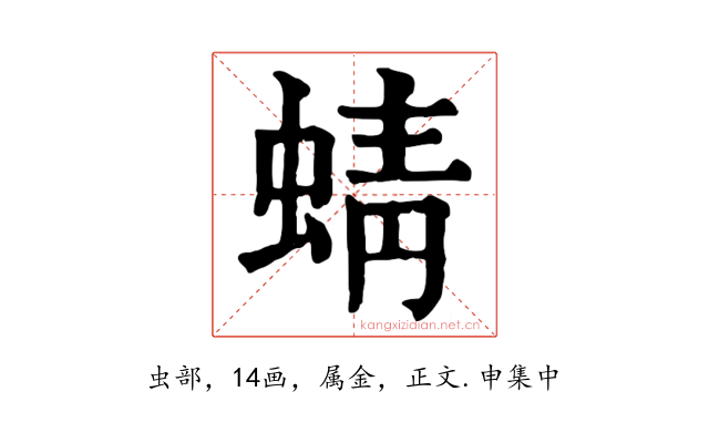 蜻