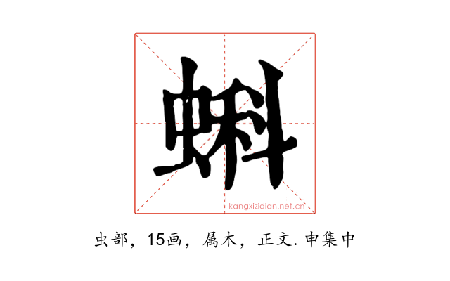 蝌