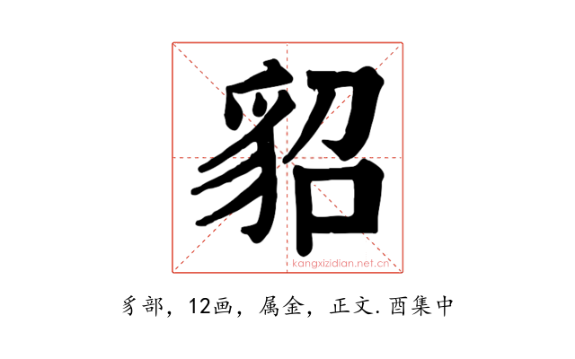 貂