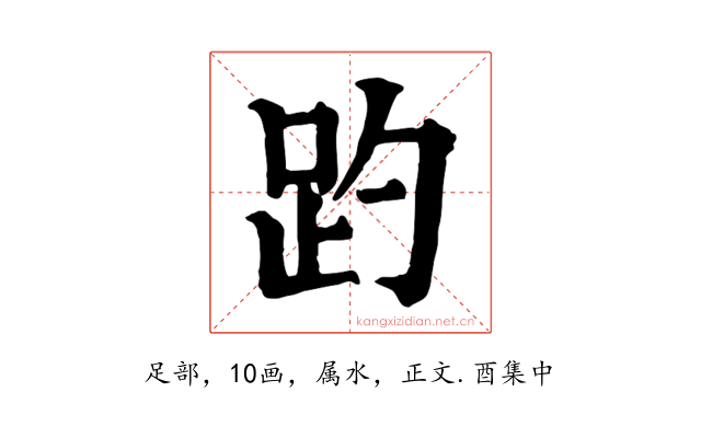趵
